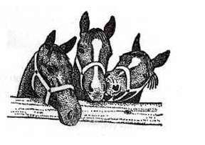 Cute horses!!; Actual size=240 pixels wide