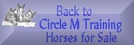 Back to Circle M Training