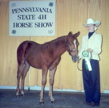 Blue as a weanling