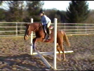 Blue jumping with young rider