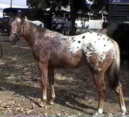 Red at Production 2001