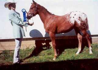 Red as a weanling