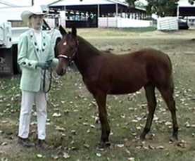 Skittles at 4-H Production Show