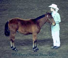 Skittles at States 2001